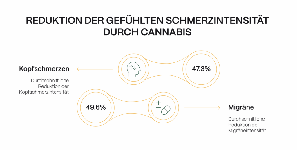 Grafik zur Reduktion der gefühlten Schmerzintensität durch Cannabis bei Migräne und Kopfschmerzen. Durchschnittlich gaben Nutzer:innen eine Verringerung der Kopfschmerzintensität um 47,3 % und der Migräneintensität um 49,6 % an. Thema: Cannabis bei Migräne.