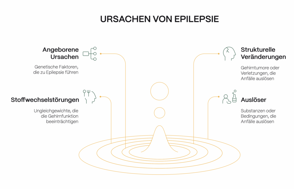 Infografik zu den Ursachen von Epilepsie: dargestellt werden angeborene Ursachen, Stoffwechselstörungen, strukturelle Veränderungen im Gehirn und äußere Auslöser – relevante Faktoren im Kontext von Cannabis und Epilepsie.