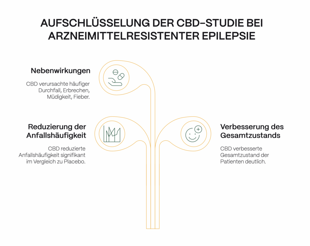 Infografik zu Cannabis und Epilepsie: Aufschlüsselung einer CBD-Studie bei arzneimittelresistenter Epilepsie mit drei zentralen Ergebnissen – Reduzierung der Anfallshäufigkeit, Verbesserung des Gesamtzustands und dokumentierte Nebenwirkungen wie Müdigkeit oder Durchfall.