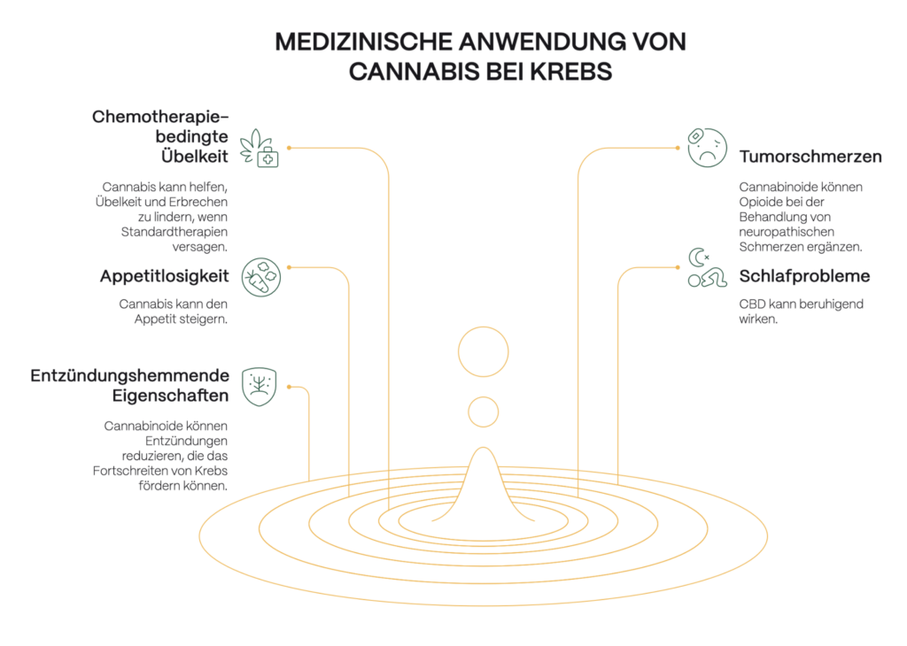 Infografik zur medizinischen Anwendung von Cannabis bei Krebs. In der Mitte symbolische Darstellung eines Tropfens mit konzentrischen Kreisen. Von dort führen Linien zu sechs Anwendungsbereichen: Chemotherapiebedingte Übelkeit (Cannabis kann Übelkeit und Erbrechen lindern), Appetitlosigkeit (Appetitsteigerung möglich), entzündungshemmende Eigenschaften (Cannabinoide können Entzündungen reduzieren), Tumorschmerzen (Ergänzung zu Opioiden bei neuropathischen Schmerzen), Schlafprobleme (CBD wirkt beruhigend) und innere Unruhe. Jeder Bereich ist mit einem passenden Icon visualisiert.