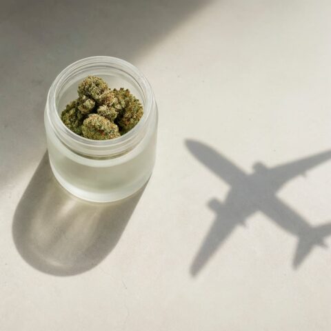 Der Schattenumrisse eines Flugzeugs neben einem Glasgefäß mit medizinischen Cannabisblüten.