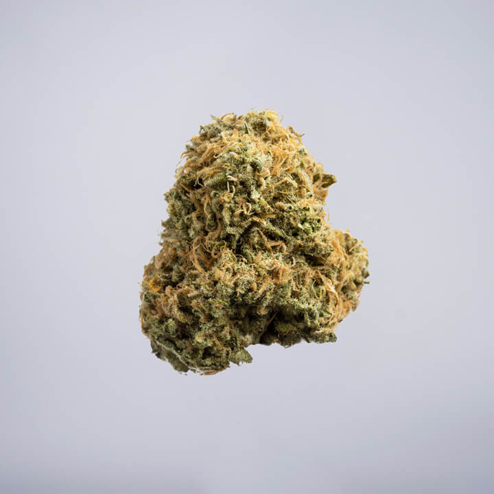 avaay Medical Cannabis Bud Black Krush (BKR) auf einem gräulichen Hintergrund.