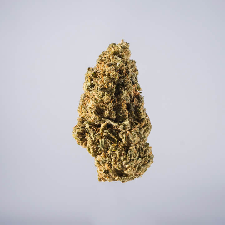 avaay Medical Cannabis Bud Cannatonic (CAN) auf einem gräulichen Hintergrund.