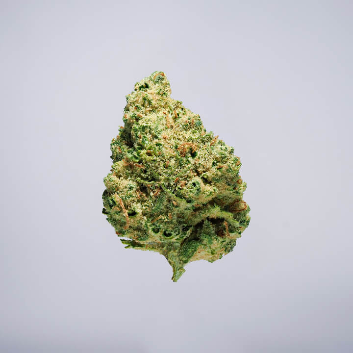 avaay Medical Cannabis Bud Creamy Kees No. 5 (CRE) auf einem gräulichen Hintergrund.