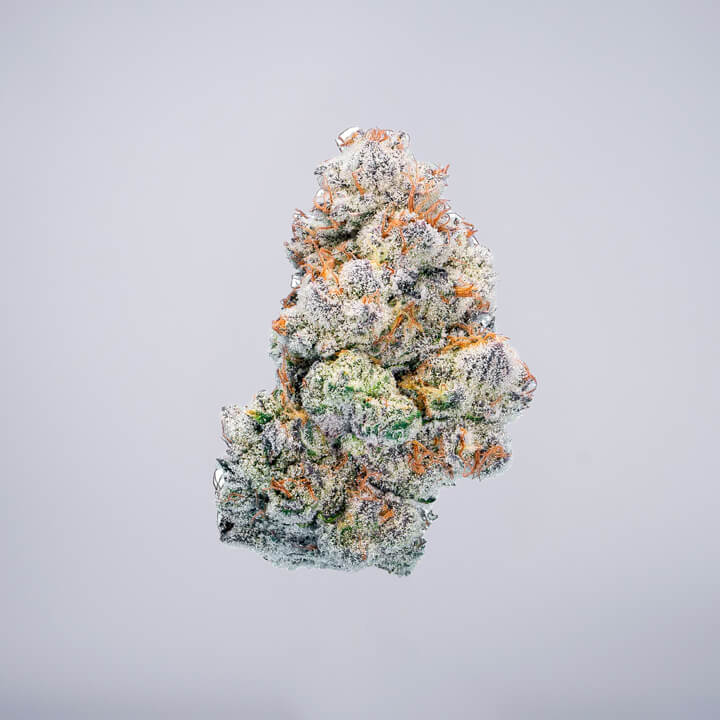 avaay Medical Cannabis Bud Gun Powder Milkshake (GPM) auf einem gräulichen Hintergrund.