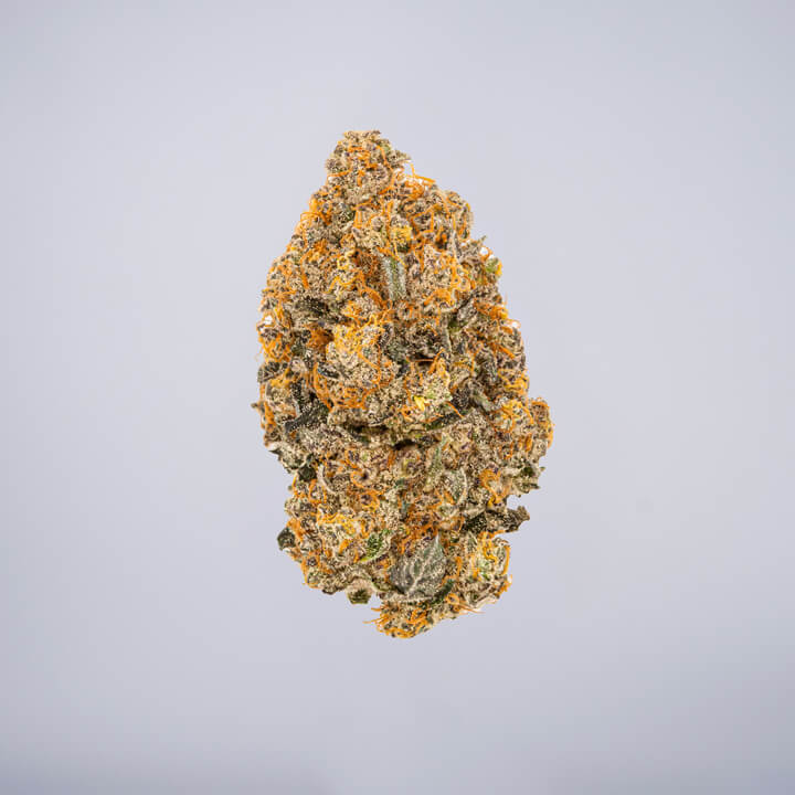 avaay Medical Cannabis Bud Hyperion (HYP) auf einem gräulichen Hintergrund.