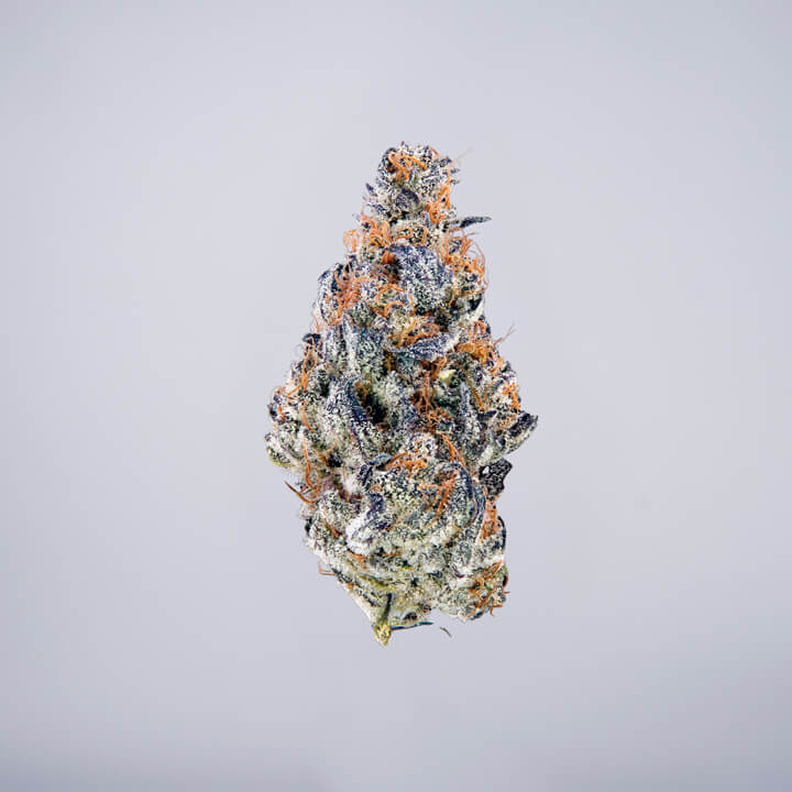 avaay Medical Cannabis Bud Mandarin Cookies (MC) auf einem gräulichen Hintergrund.