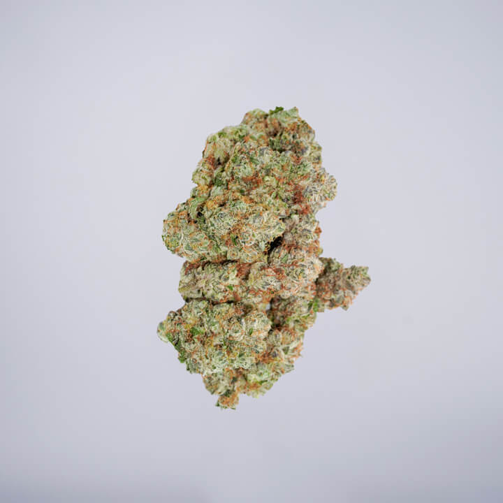 avaay Medical Cannabis Bud Ocean Grown Cookies (OGC) auf einem gräulichen Hintergrund.