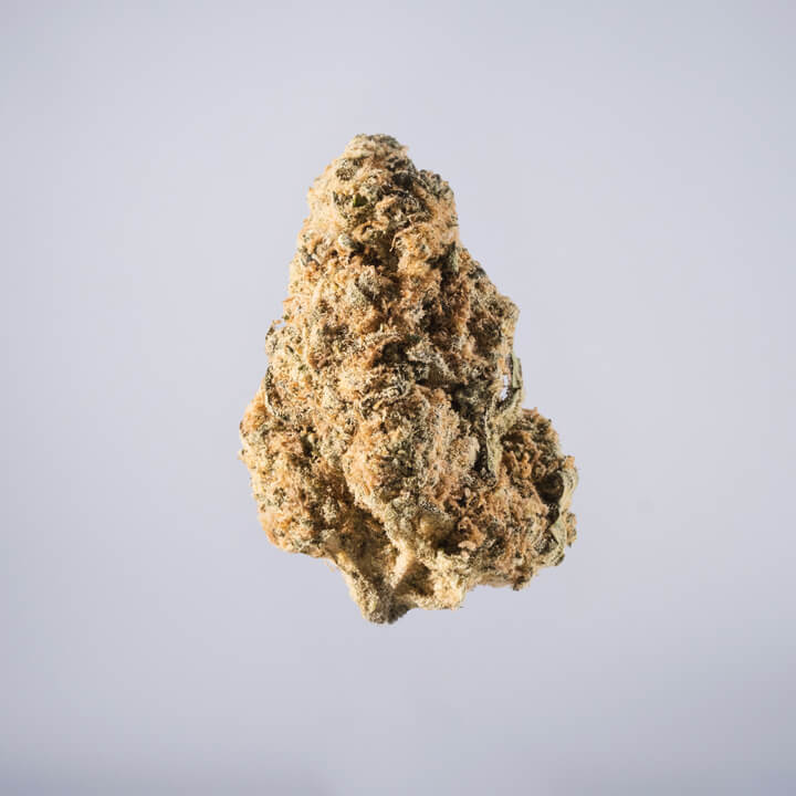 avaay Medical Cannabis Bud Royal Gorilla (RG) auf einem gräulichen Hintergrund.