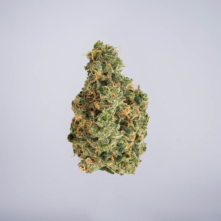 avaay Medical Cannabis Bud Super Citra G. (SCG) auf einem gräulichen Hintergrund.