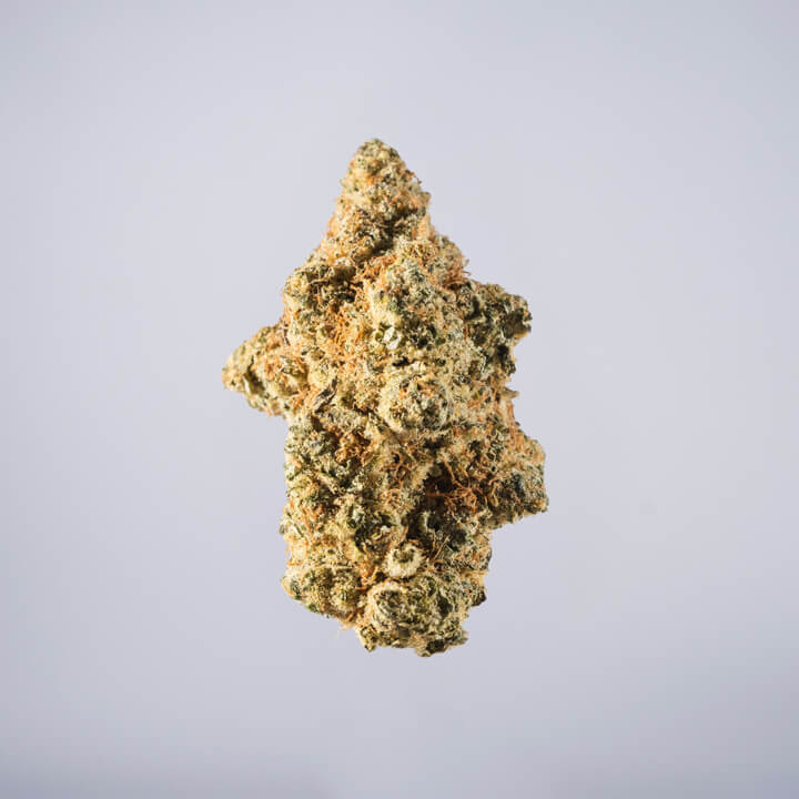 avaay Medical Cannabis Bud Waffle Bites (WB) auf einem gräulichen Hintergrund.