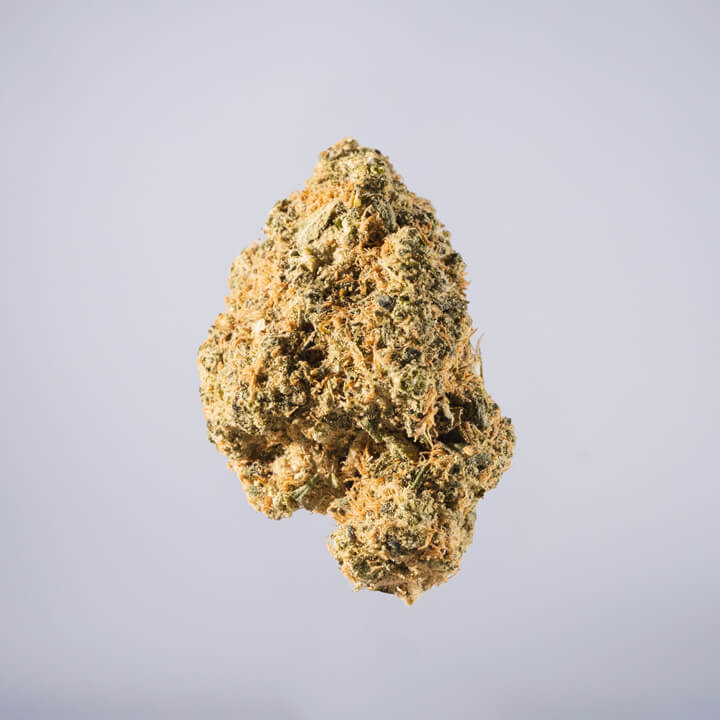 avaay Medical Cannabis Bud Sour OG Kush auf einem gräulichen Hintergrund.