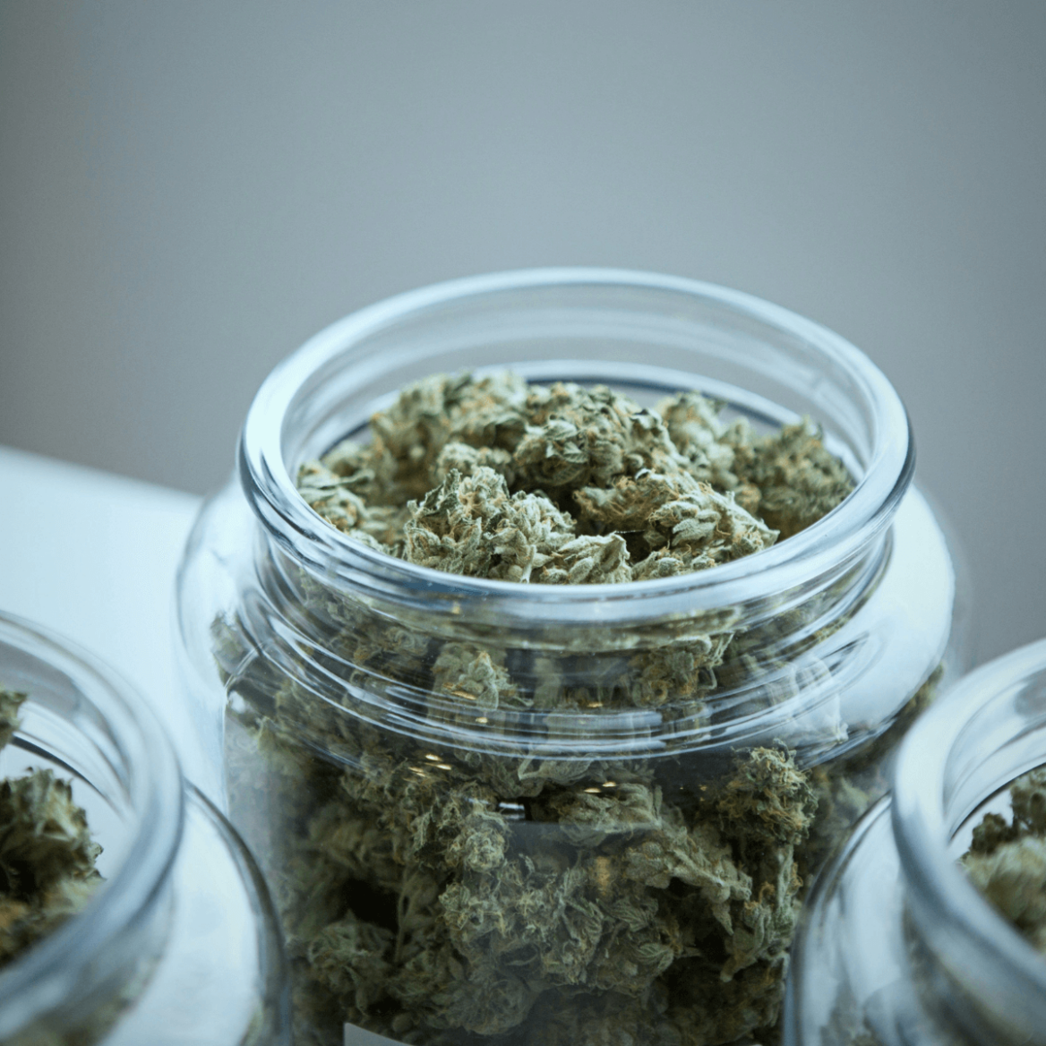 Cannabis vs. Hanf Was ist der Unterschied?