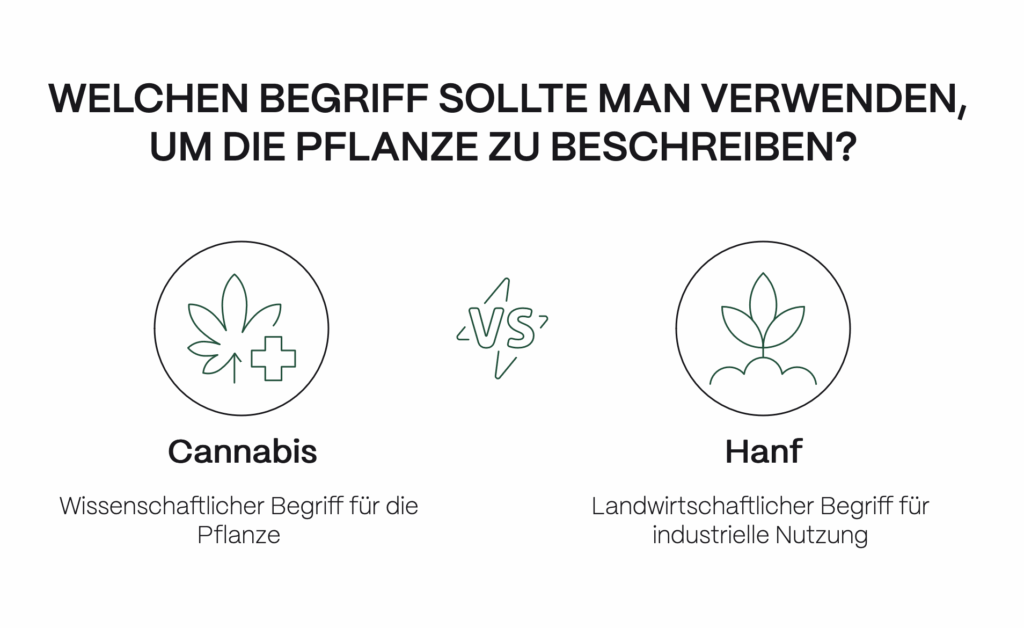 Grafik mit dem Titel „Welchen Begriff sollte man verwenden, um die Pflanze zu beschreiben?“. Links: Cannabis mit Icon eines Blattes und Kreuz – beschrieben als „Wissenschaftlicher Begriff für die Pflanze“. Rechts: Hanf mit Icon einer stilisierten Pflanze – beschrieben als „Landwirtschaftlicher Begriff für industrielle Nutzung“. In der Mitte steht „VS“ zur Gegenüberstellung beider Begriffe.