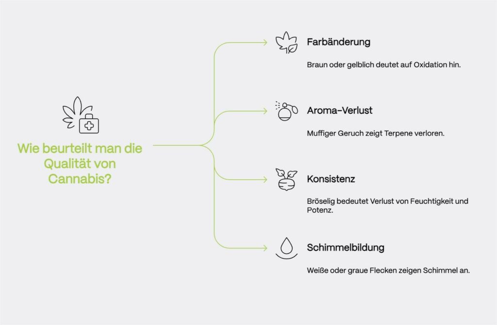 Eine Infografik zeigt die vier wichtigsten Erkennungsmerkmale zur Qualitätsbeurteilung von medizinischem Cannabis. Die Grafik ist in einem klaren, minimalistischen Stil mit schwarzen Icons auf weißem Hintergrund gestaltet und durch grüne Linien verbunden. Von einer zentralen Überschrift 