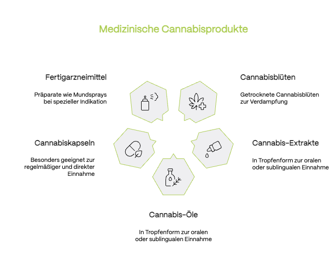 Infografik zu den wichtigsten Darreichungsformen von medizinischem Cannabis: Blüten, Extrakte/Öle, Kapseln und Fertigarzneimittel – jeweils mit Anwendung und Wirkungseintritt.