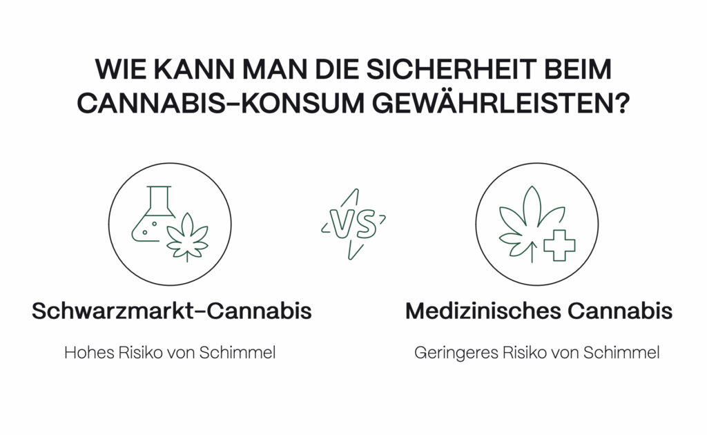 Vergleichsgrafik zur Sicherheit beim Cannabiskonsum. In der Mitte steht die Frage: „Wie kann man die Sicherheit beim Cannabis-Konsum gewährleisten?“ Links ist „Schwarzmarkt-Cannabis“ mit einem Laborfläschchen und Cannabisblatt dargestellt, darunter der Hinweis „Hohes Risiko von Schimmel“. Rechts ist „Medizinisches Cannabis“ mit einem Cannabisblatt und einem medizinischen Kreuz abgebildet, darunter „Geringeres Risiko von Schimmel“. In der Mitte steht ein stilisiertes „VS“.