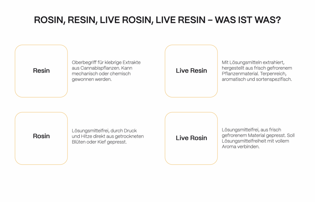 Infografik erklärt Unterschiede zwischen Resin, Rosin, Live Rosin und Live Resin. Resin ist ein Sammelbegriff für Cannabis-Extrakte, Rosin wird lösungsmittelfrei gepresst, Live Resin mit Lösungsmitteln aus frisch gefrorenem Material hergestellt, Live Rosin dagegen lösungsmittelfrei mit vollem Aroma.