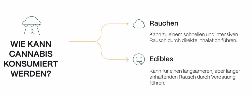 Infografik mit dem Titel „Was ist schlechter für die Gesundheit?“.
Links wird Alkohol dargestellt mit der Beschreibung: „Erhöht das Risiko von Organschäden, Aggression und Unfällen.“
Rechts wird Cannabis dargestellt mit der Beschreibung: „Kann Angst und psychische Probleme verursachen, aber weniger akut lebensbedrohlich.“
In der Mitte befindet sich ein „vs“-Symbol, das den Vergleich zwischen beiden Substanzen verdeutlicht.