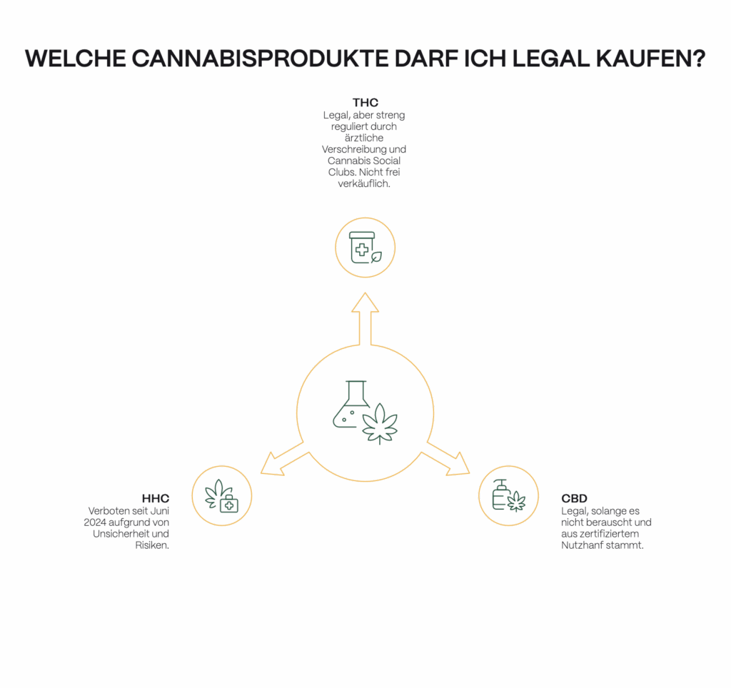 Infografik mit dem Titel „Welche Cannabisprodukte darf ich legal kaufen?“: In der Mitte ein Symbol für Cannabisprodukte, von dem drei Pfeile ausgehen. Oben: THC ist legal, aber streng reguliert und nur über ärztliche Verschreibung oder Cannabis Social Clubs erhältlich, nicht frei verkäuflich. Rechts: CBD ist legal, solange es nicht berauschend ist und aus zertifiziertem Nutzhanf stammt. Links: HHC ist seit Juni 2024 aufgrund von Unsicherheiten und Risiken verboten.