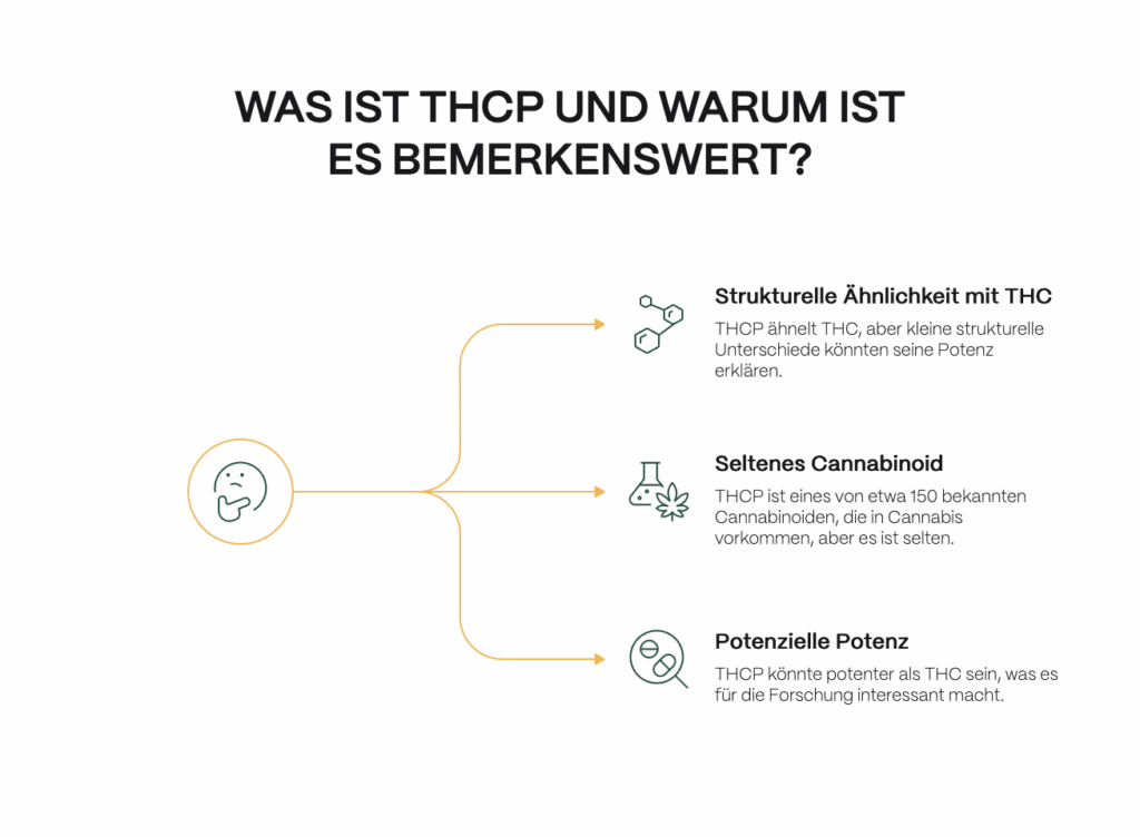 Eine Infografik mit dem Titel „Was ist THCP und warum ist es bemerkenswert?“. In der Mitte links befindet sich ein Icon eines nachdenklichen Gesichts, aus dem drei gelbe Linien nach rechts führen. Jede Linie endet in einem kleinen grünen Symbol und einem kurzen Text: 1) Ein Molekül-Icon mit der Überschrift „Strukturelle Ähnlichkeit mit THC“ und der Erklärung, dass THCP THC ähnelt, aber kleine Unterschiede seine Potenz erklären könnten. 2) Ein Labor- und Cannabisblatt-Icon mit der Überschrift „Seltenes Cannabinoid“ und der Erklärung, dass THCP eines von rund 150 bekannten Cannabinoiden ist, aber sehr selten vorkommt. 3) Ein Tabletten-Icon mit der Überschrift „Potenzielle Potenz“ und der Erklärung, dass THCP potenter als THC sein könnte und daher wissenschaftlich interessant ist.