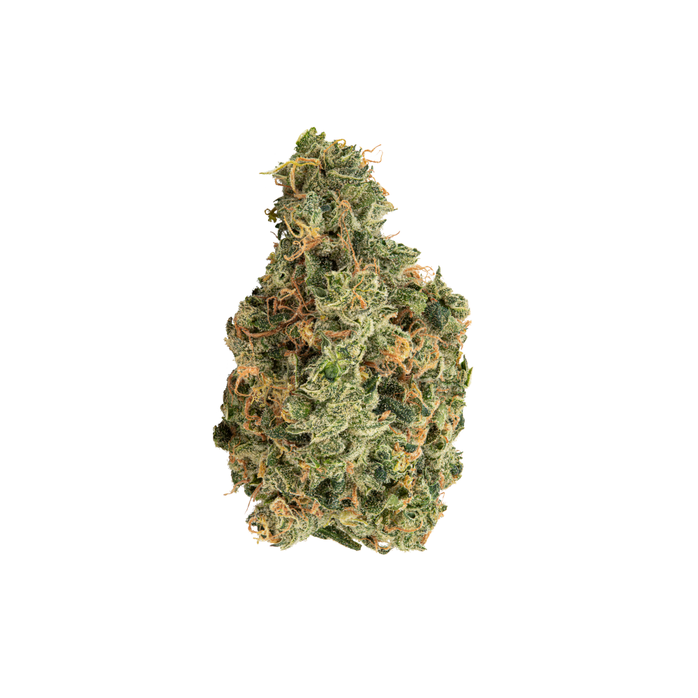 Nahaufnahme einer getrockneten Super Citra G Blüte mit hohem Trichombesatz.