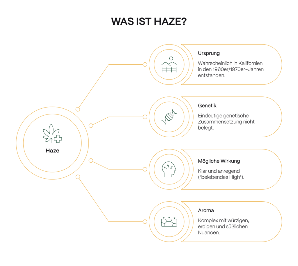 Infografik mit der Überschrift „Was ist Haze?“. In der Mitte steht „Haze“, verbunden mit vier Stichpunkten: Ursprung (wahrscheinlich in Kalifornien in den 1960er/1970er-Jahren entstanden), Genetik (eindeutige genetische Zusammensetzung nicht belegt), mögliche Wirkung (klar und anregend, sogenanntes „belebendes High“) und Aroma (komplex mit würzigen, erdigen und süßlichen Nuancen).
