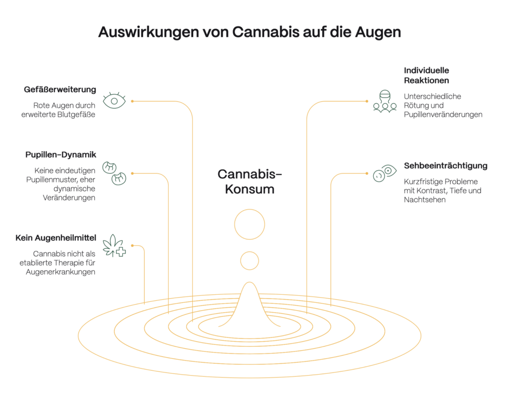 Infografik mit dem Titel „Auswirkungen von Cannabis auf die Augen“. In der Mitte steht „Cannabis-Konsum“, von dem Linien zu verschiedenen Effekten führen: Gefäßerweiterung mit roten Augen durch erweiterte Blutgefäße, veränderte Pupillen-Dynamik ohne eindeutiges Muster, kurzfristige Sehbeeinträchtigungen (Kontrast-, Tiefen- und Nachtsehen), individuelle Reaktionen mit unterschiedlicher Rötung und Pupillenveränderung sowie der Hinweis, dass Cannabis kein etabliertes Augenheilmittel ist. Icons visualisieren die jeweiligen Punkte.