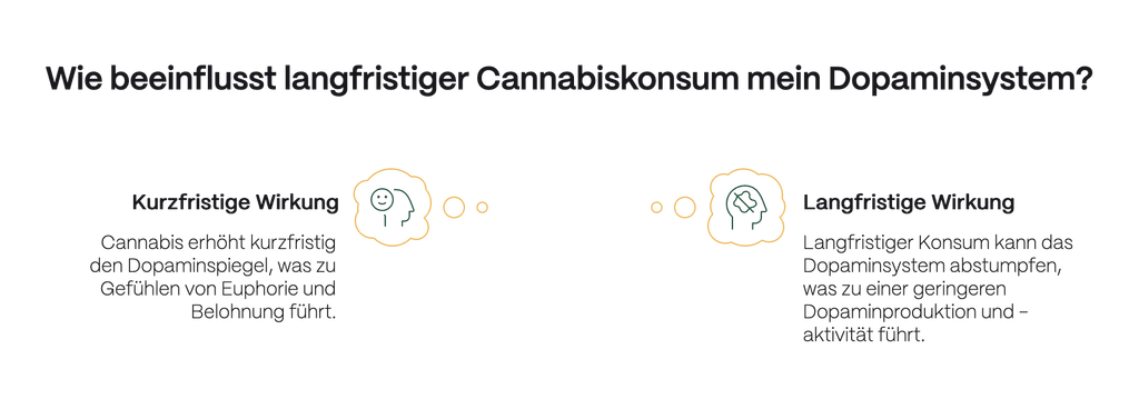 Infografik „Wie beeinflusst langfristiger Cannabiskonsum mein Dopaminsystem?