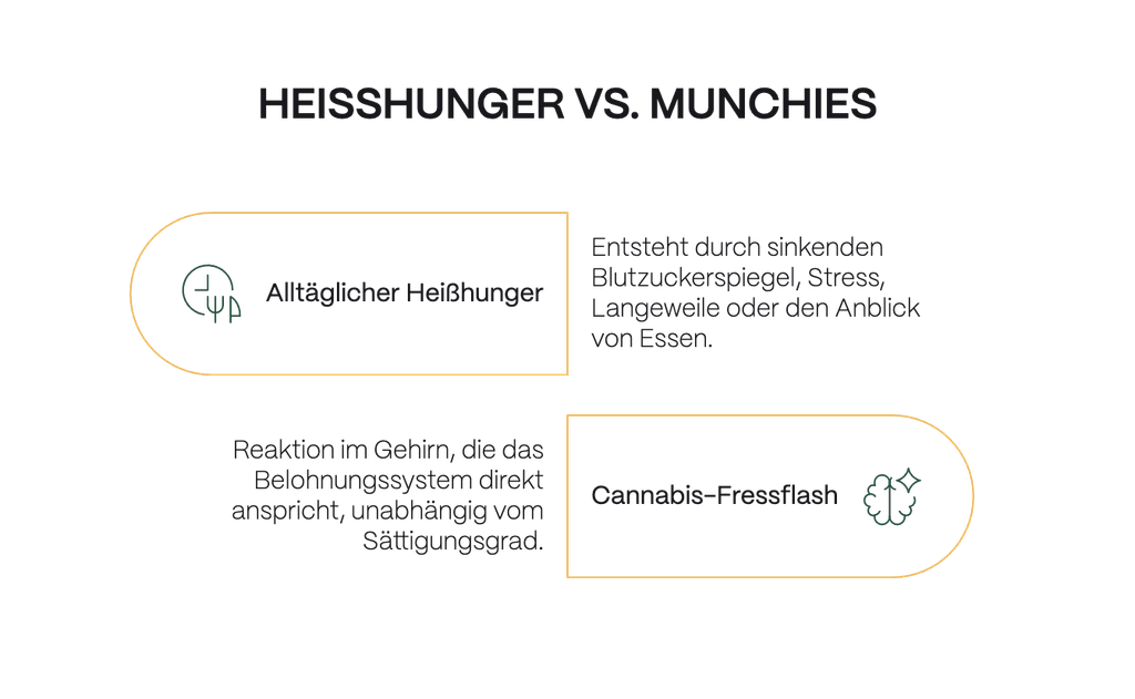 Infografik „Heißhunger vs. Munchies